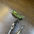 画像2: 【Rainy's】Hi-Viz Grand Hopper (2)