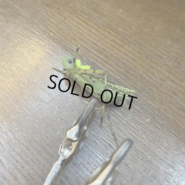 画像2: 【Rainy's】Hi-Viz Grand Hopper (2)