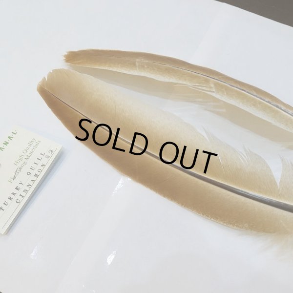 画像3: 【CANAL】TURKEY QUILL Cinnaon No.2 (3)