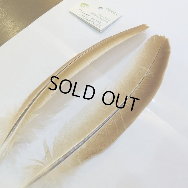 画像2: 【CANAL】TURKEY QUILL Cinnaon No.2 (2)