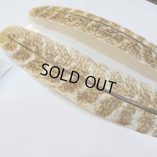 画像3: 【CANAL】MOTTLED TURKEY QUILL(プリント) (3)