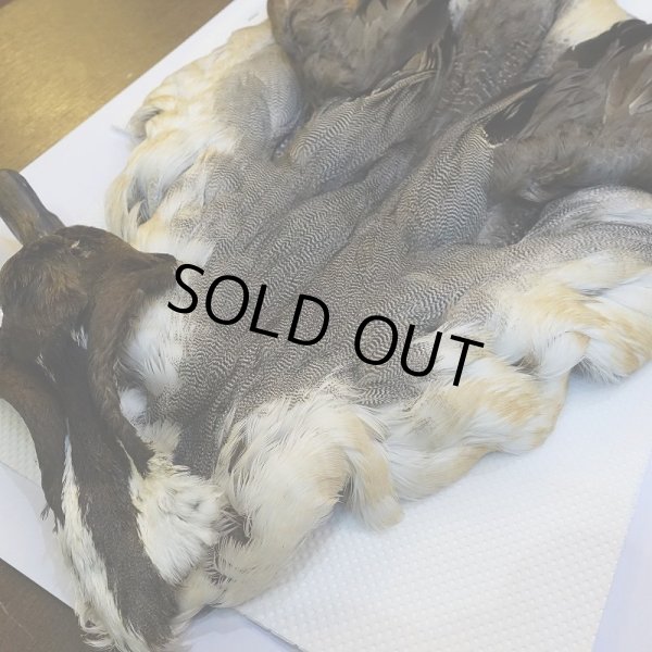 画像2: 【CANAL】ピンテール・コンプリート No.2 (2)