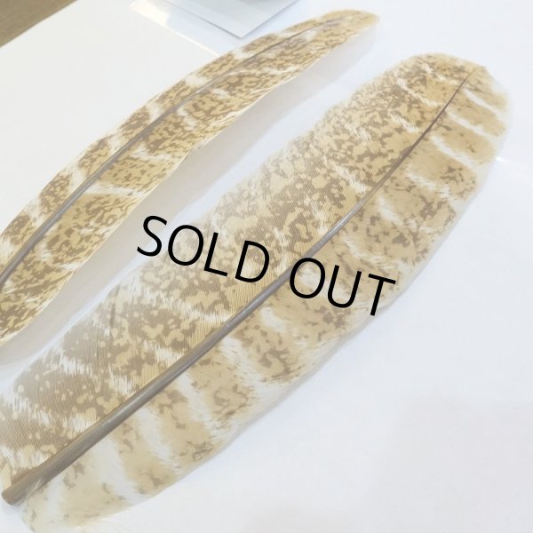 画像2: 【CANAL】MOTTLED TURKEY QUILL(プリント) (2)