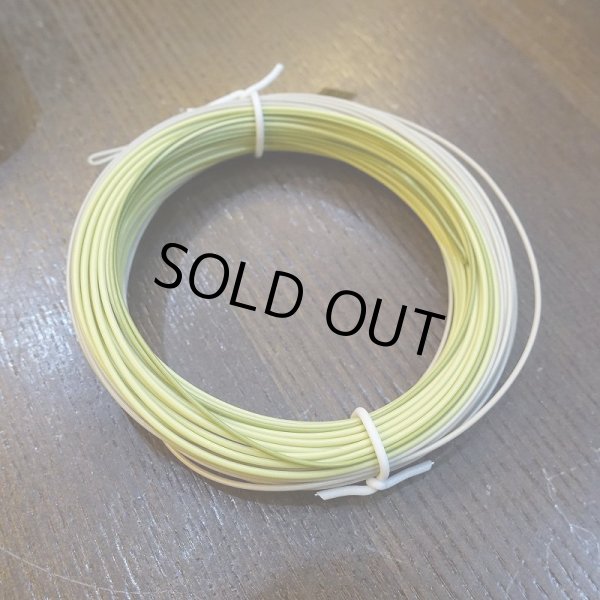 画像3: 【RIO】PREMIER Light Line (3)