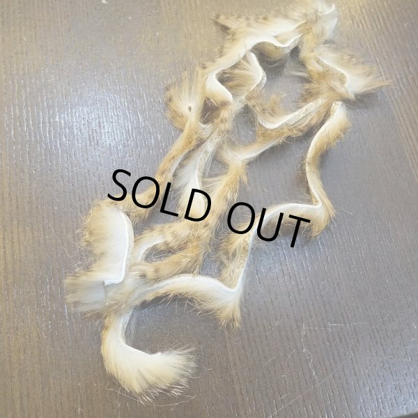 画像3: 【HARELINE】Brown Barred Rabbit Strips 1/8" (3)