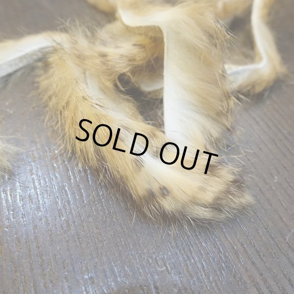 画像4: 【HARELINE】Brown Barred Rabbit Strips 1/8" (4)