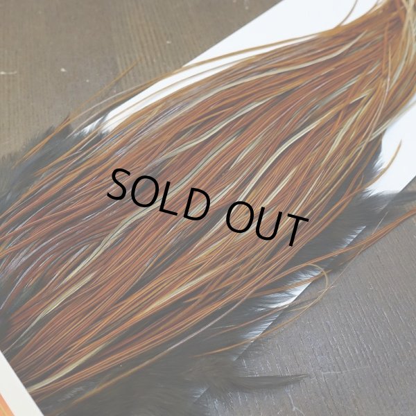 画像2: 【WHITING】Rooster Saddle Pro Grade Furnace #14 No.2 (2)