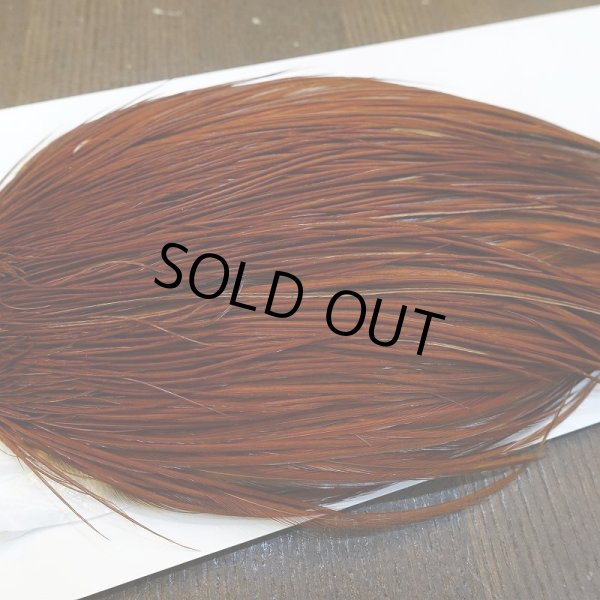 画像5: 【Whiting】ROOSTER CAPE Silver Grade - BROWN (5)