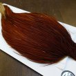 画像3: 【Whiting】ROOSTER CAPE Silver Grade - BROWN (3)