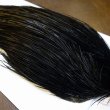 画像4: 【Whiting】ROOSTER CAPE Silver Grade - DYED BLACK (4)