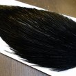 画像3: 【WHITING】High & Dry ROOSTER Cape - DYED BLACK No.7 (3)