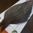 画像2: 【Whiting】ROOSTER CAPE Silver Grade - DYED MEDIUM DUN (2)