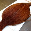 画像2: 【Whiting】ROOSTER CAPE Silver Grade - BROWN (2)