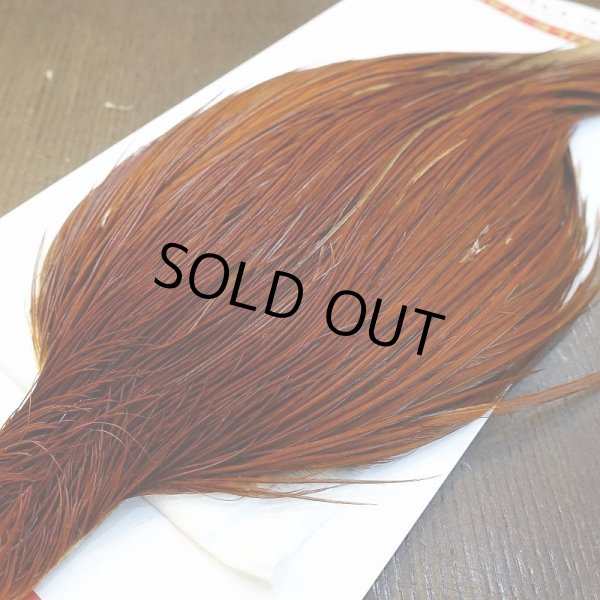 画像2: 【Whiting】ROOSTER CAPE Silver Grade - BROWN (2)