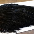 画像4: 【WHITING】High & Dry ROOSTER Cape - DYED BLACK No.7 (4)