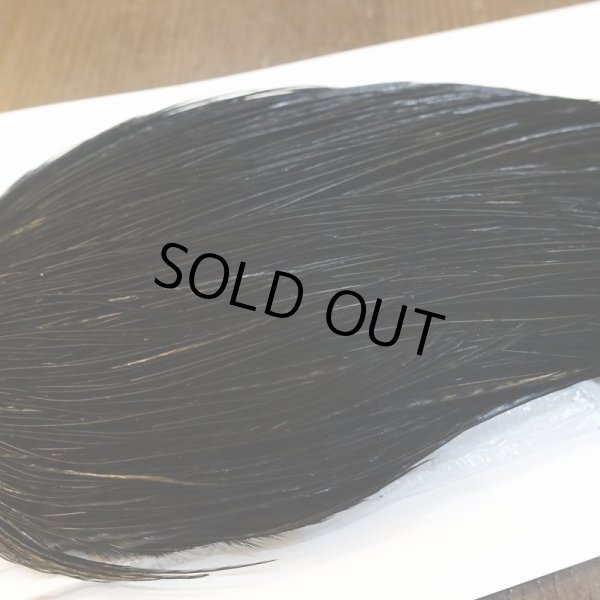 画像4: 【WHITING】High & Dry ROOSTER Cape - DYED BLACK No.4 (4)