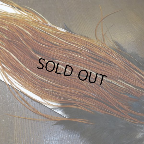 画像3: 【WHITING】Rooster Saddle Pro Grade Furnace #14 No.2 (3)