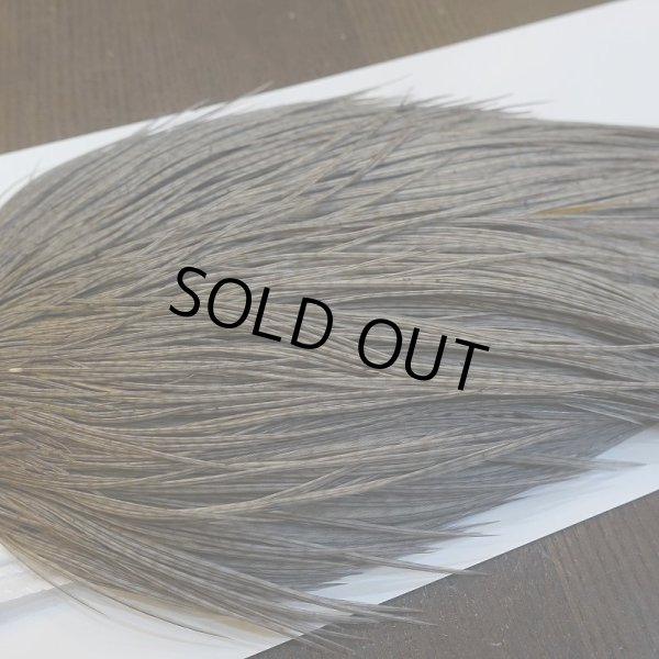 画像5: 【Whiting】ROOSTER CAPE Silver Grade - DYED MEDIUM DUN (5)