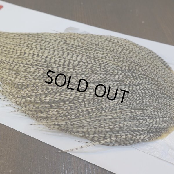 画像3: 【Whiting】ROOSTER CAPE Bronze Grade - Grizzly Variant (3)