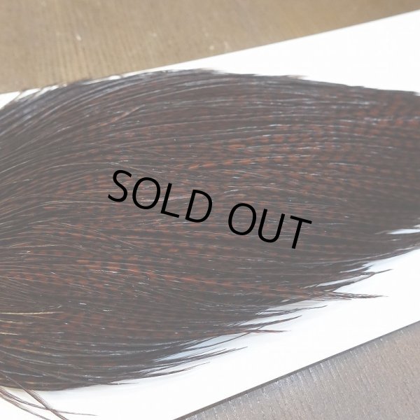 画像4: 【WHITING】High & Dry ROOSTER Cape - Dyed Grizzly Coachman Brown No.3 (4)