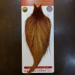 画像1: 【WHITING】ROOSTER Cape Bronze Grade - Medium Ginger No.1 (1)