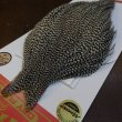 画像2: 【WHITING】ROOSTER CAPE Bronze Grade - Grizzly No.3 (2)