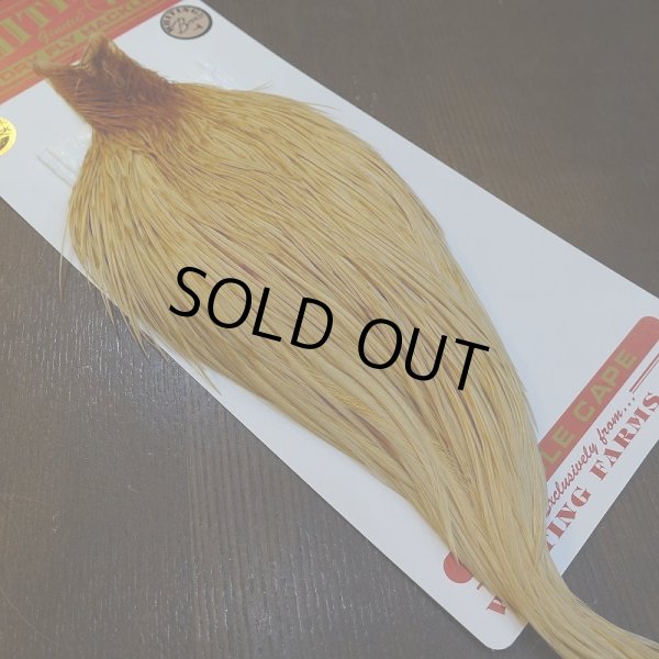 画像5: 【WHITING】ROOSTER Cape Bronze Grade - LightGinger No.1 (5)