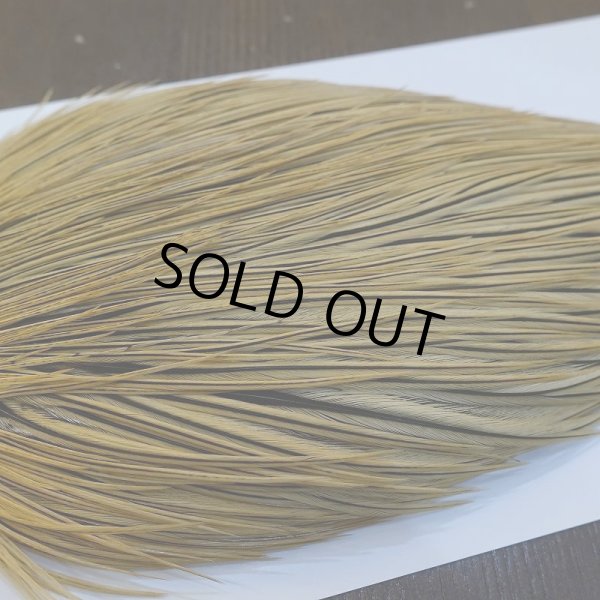 画像3: 【Whiting】ROOSTER CAPE Bronze Grade - GOLDEN BADGER No.2 (3)