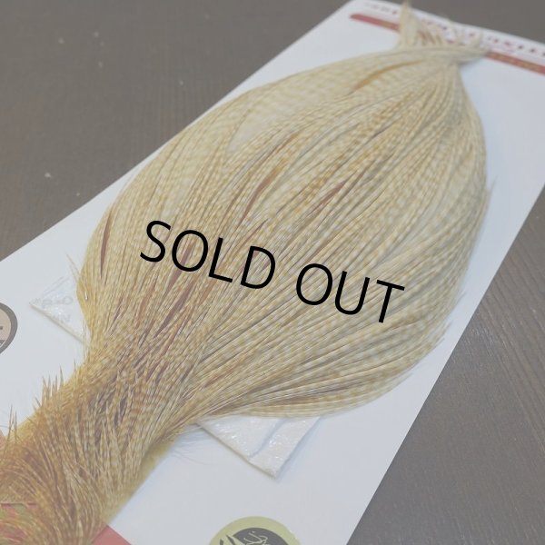 画像2: 【Whiting】ROOSTER CAPE Bronze Grade - BARRED MED GINGER No.2 (2)