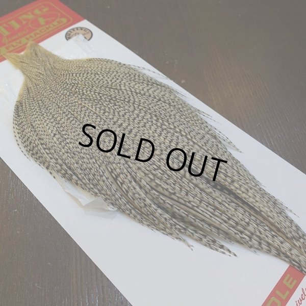 画像5: 【Whiting】ROOSTER CAPE Bronze Grade - Grizzly Variant (5)