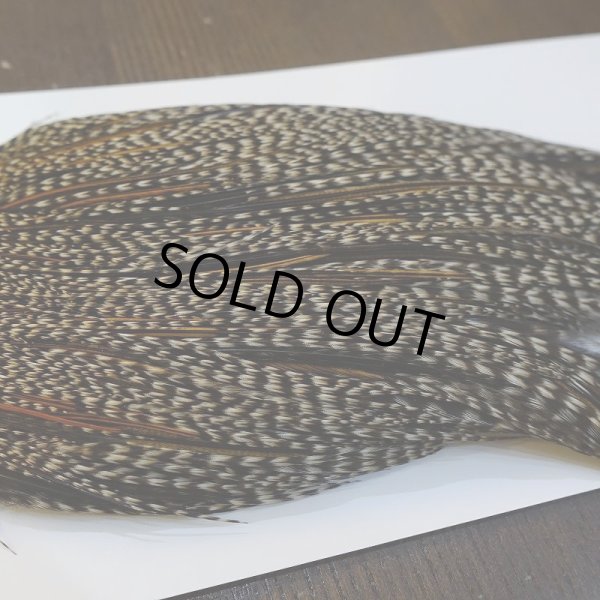 画像4: 【WHITING】High & Dry ROOSTER Cape - Grizzly Variant No.1 (4)