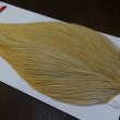 画像3: 【WHITING】ROOSTER Cape Bronze Grade - LightGinger No.3 (3)