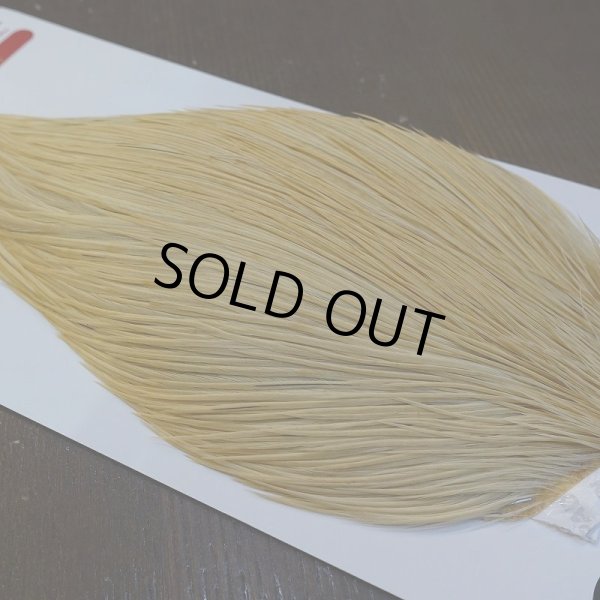 画像3: 【WHITING】ROOSTER Cape Bronze Grade - LightGinger No.3 (3)