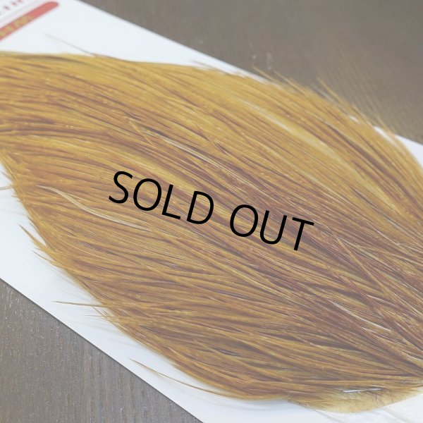 画像3: 【WHITING】ROOSTER Cape Bronze Grade - Medium Ginger No.3 (3)