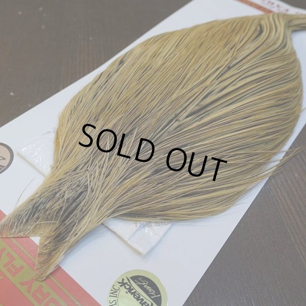 画像2: 【Whiting】ROOSTER CAPE Bronze Grade - GOLDEN BADGER No.2 (2)