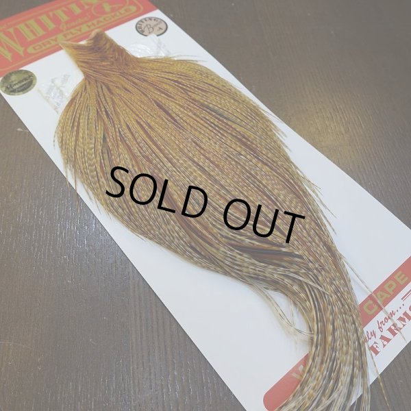 画像5: 【Whiting】ROOSTER CAPE Bronze Grade - BARRED DK GINGER No.1 (5)