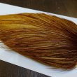 画像3: 【WHITING】ROOSTER Cape Bronze Grade - Medium Ginger No.1 (3)