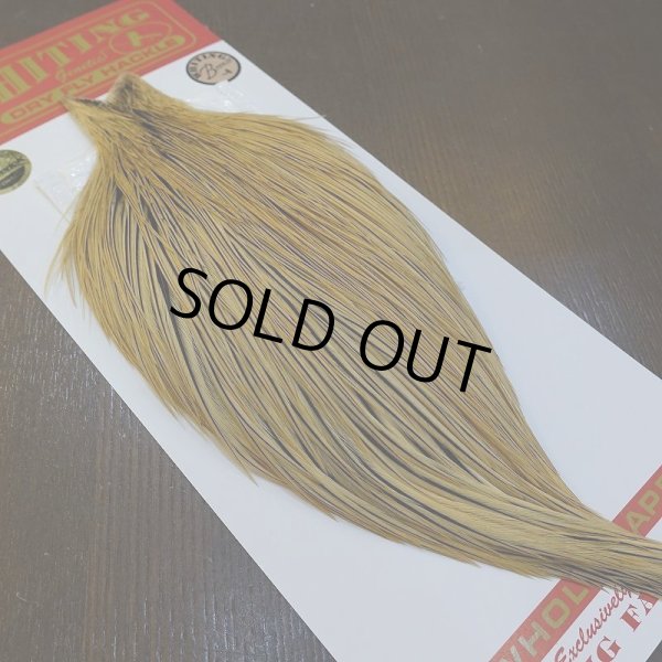 画像5: 【Whiting】ROOSTER CAPE Bronze Grade - GOLDEN BADGER No.2 (5)