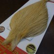 画像2: 【WHITING】ROOSTER Cape Bronze Grade - LightGinger No.3 (2)