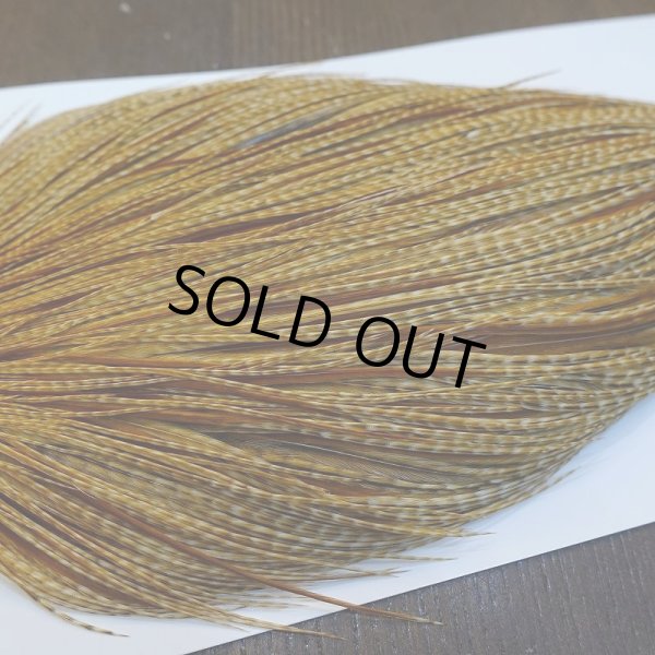 画像4: 【Whiting】ROOSTER CAPE Bronze Grade - BARRED DK GINGER No.1 (4)