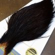 画像2: 【WHITING】High & Dry ROOSTER Cape - Dyed Grizzly Coachman Brown No.3 (2)