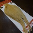 画像5: 【WHITING】ROOSTER Cape Bronze Grade - LightGinger No.3 (5)