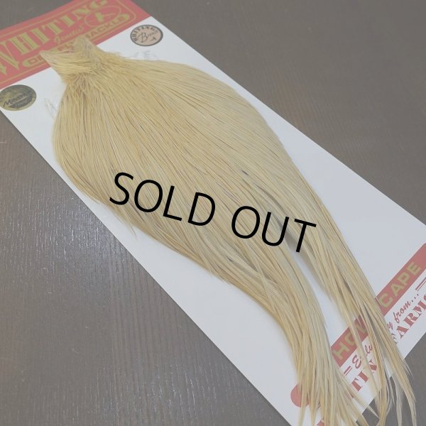 画像5: 【WHITING】ROOSTER Cape Bronze Grade - LightGinger No.3 (5)