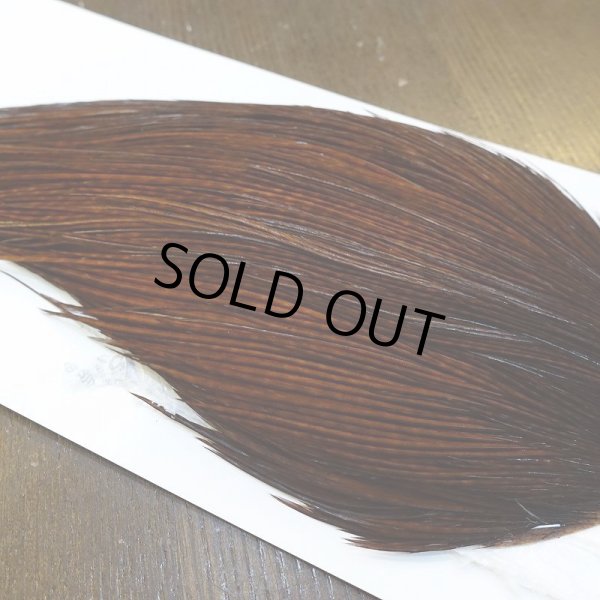 画像3: 【WHITING】High & Dry ROOSTER Cape - Dyed Coachman Brown No.4 (3)