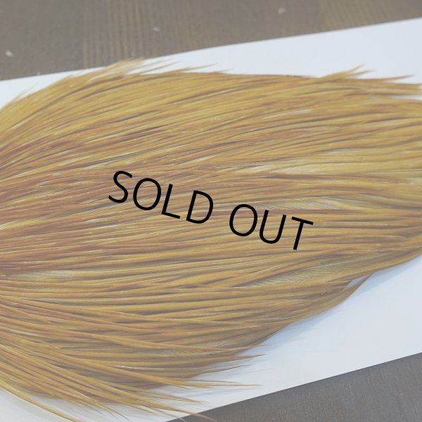 画像4: 【WHITING】ROOSTER Cape Bronze Grade - Medium Ginger No.2 (4)