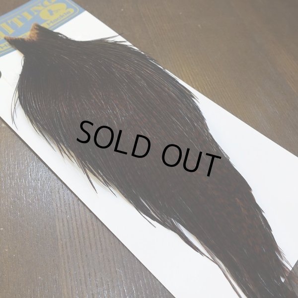 画像5: 【WHITING】High & Dry ROOSTER Cape - Dyed Grizzly Coachman Brown No.3 (5)