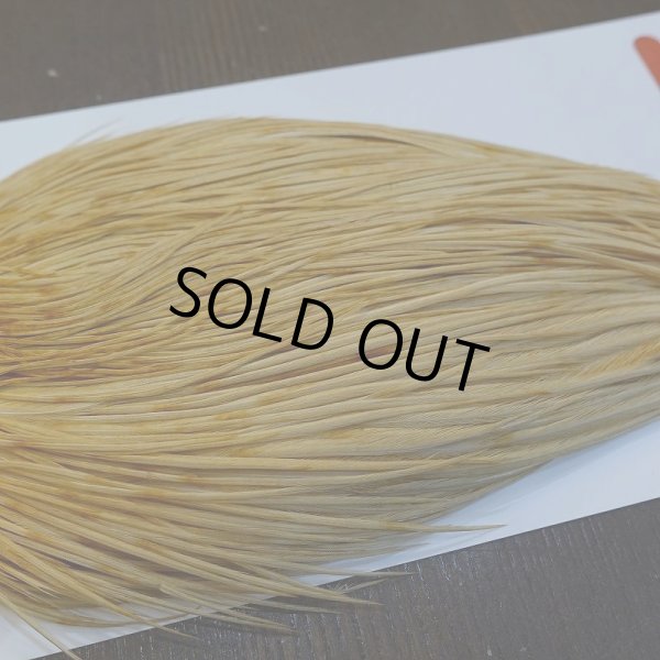 画像4: 【WHITING】ROOSTER Cape Bronze Grade - LightGinger No.1 (4)