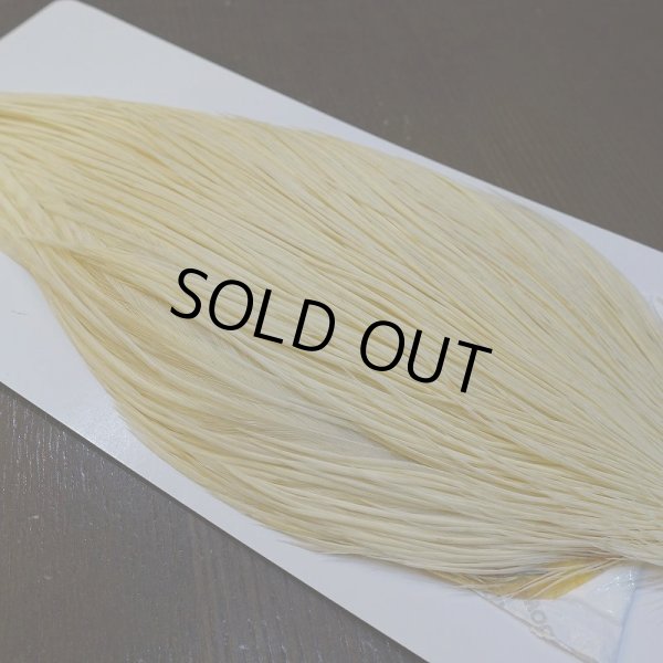 画像3: 【WHITING】High & Dry ROOSTER Cape - WHITE No.1 (3)