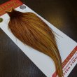 画像5: 【WHITING】ROOSTER Cape Bronze Grade - Medium Ginger No.1 (5)