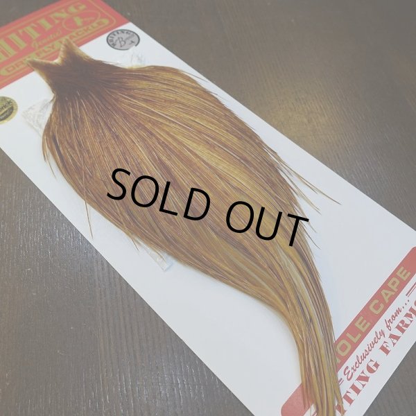 画像5: 【WHITING】ROOSTER Cape Bronze Grade - Medium Ginger No.1 (5)